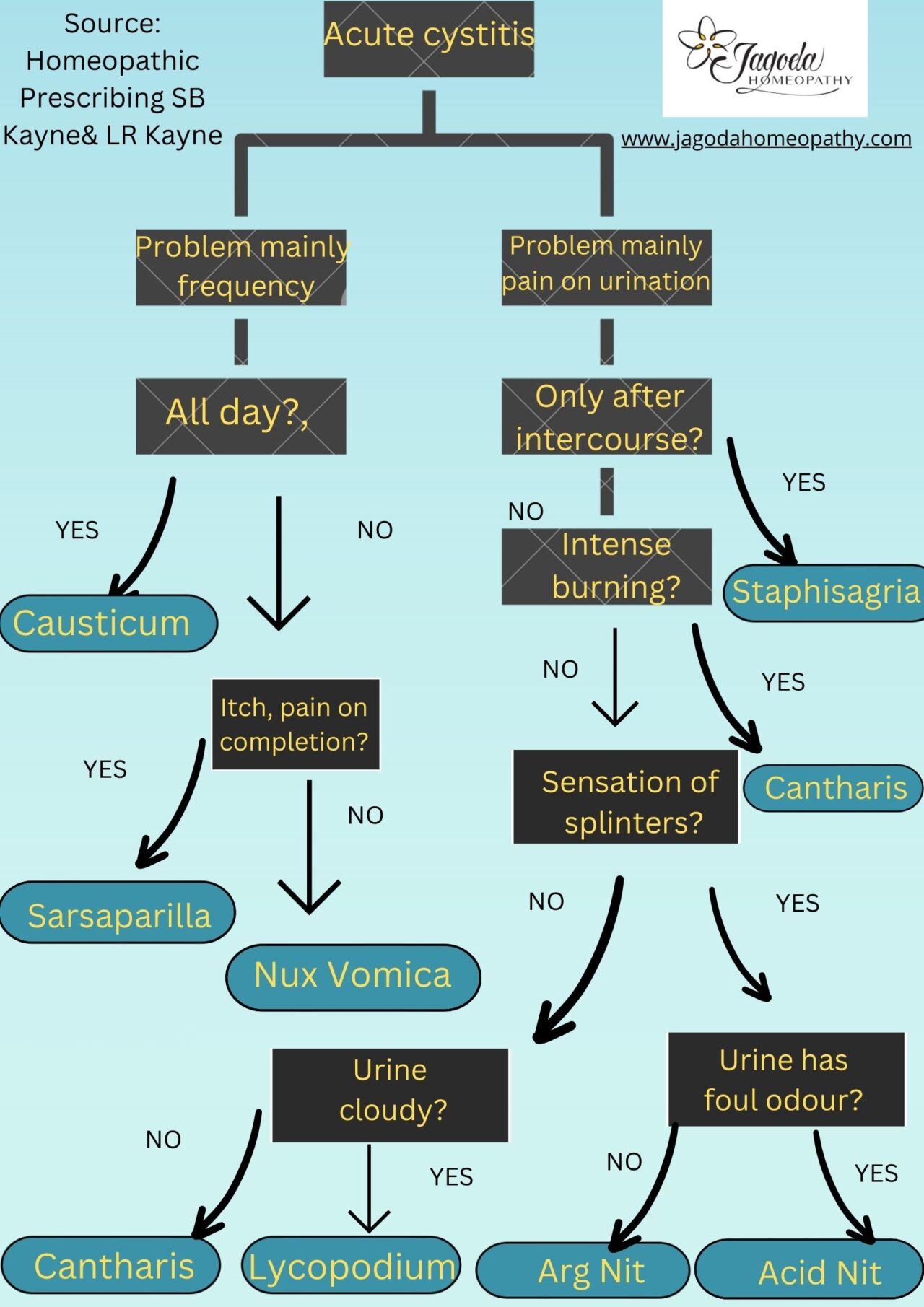 HOMEOPATHY FOR ACUTE URINARY TRACT INFECTIONS Jagoda Homeopathy
