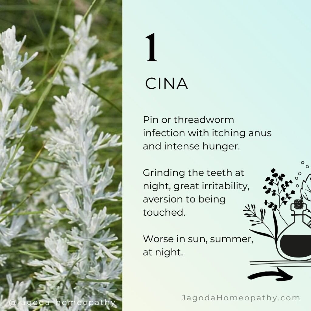 FIVE HOMEOPATHIC REMEDIES FOR WORMS OF YOUR DOG Jagoda Homeopathy